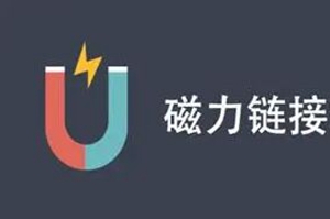 什么是磁力链接？磁力链接工作原理是什么？